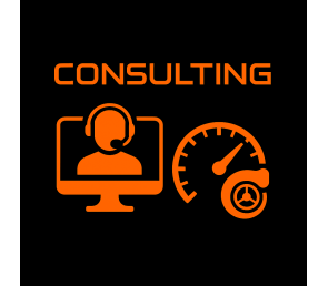 Servicio de Consultoría