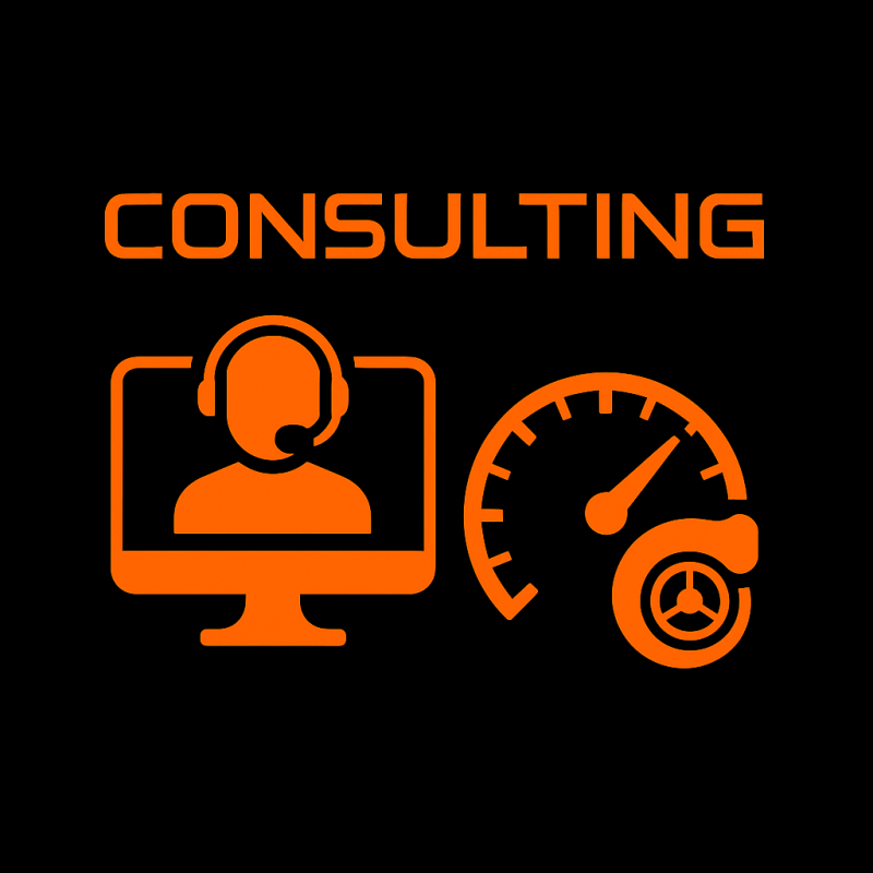Servicio de Consultoría