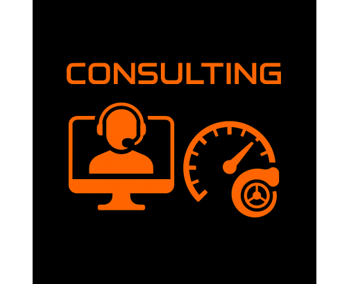 Servicio de Consultoría