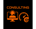 Servicio de Consultoría