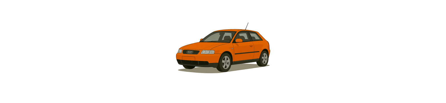 A3